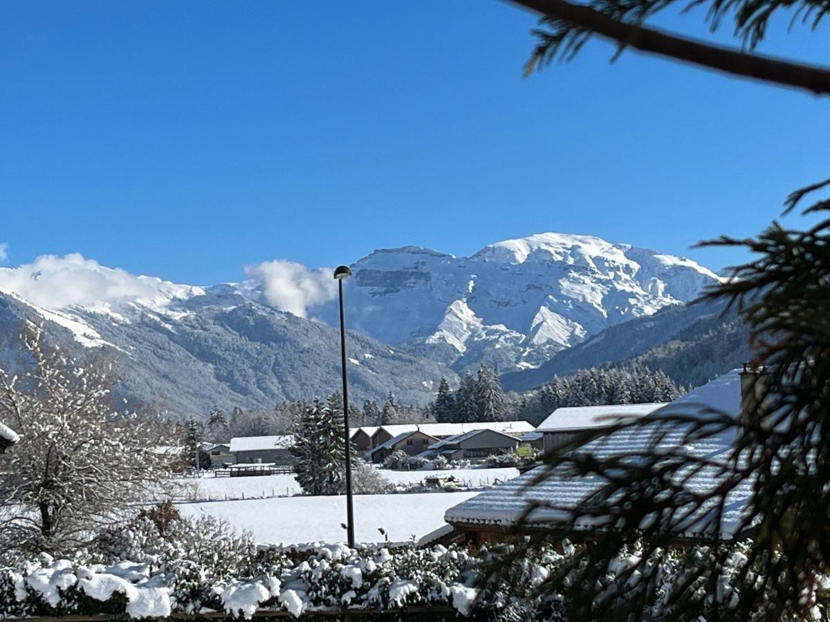 Gîte Balnéo Au Coeur des Alpes Taninges Extérieur photo